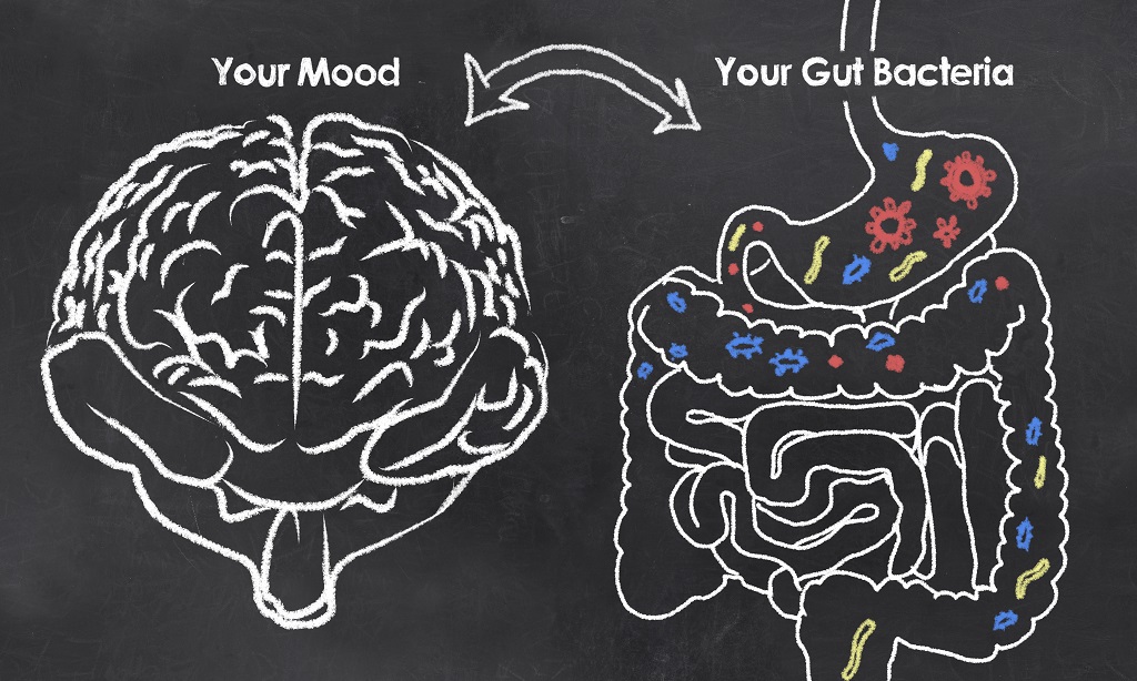 How your gut affects your health
